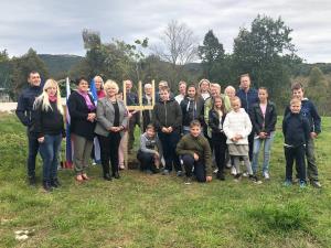 posaditev lipe foto 6. 10 2019